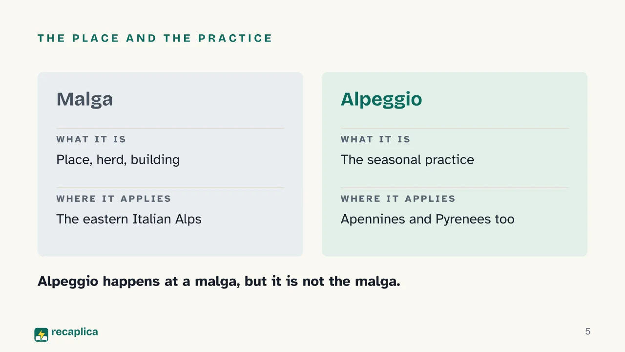 Slide 5 of the presentation on Alpine Pastures: The place and the practice