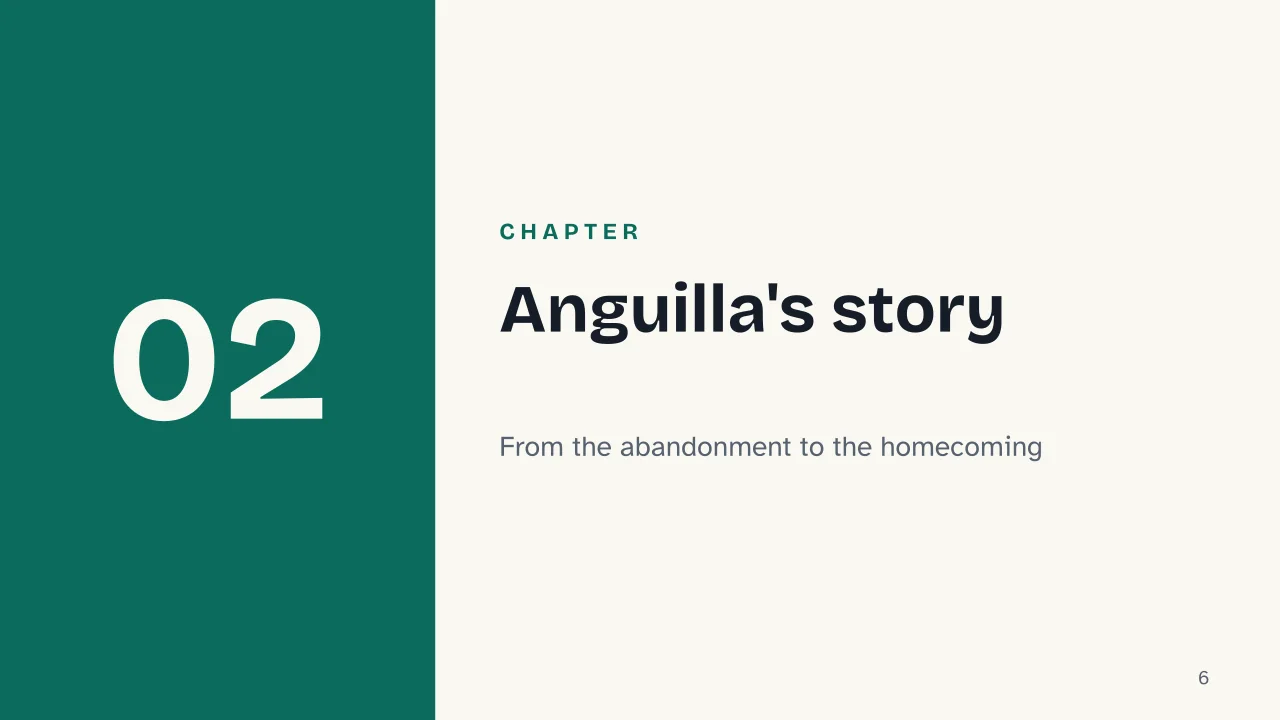 Slide 6 of the presentation on The Moon and the Bonfires by Cesare Pavese: Chapter 02: Anguilla's story