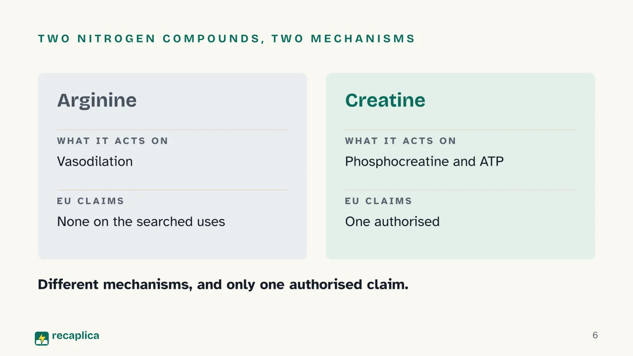 Slide 6 of the presentation on Arginine: Two nitrogen compounds, two mechanisms