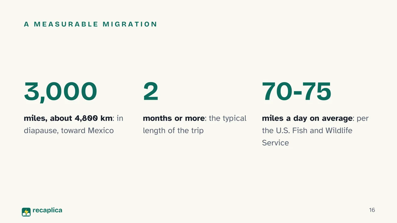 Slide 16 of the presentation on Autumn: A measurable migration