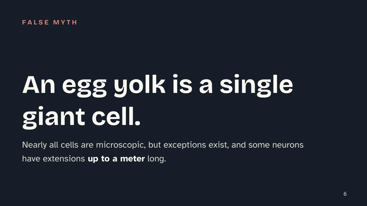 Slide 6 of the presentation on The cell: An egg yolk is a single giant cell.