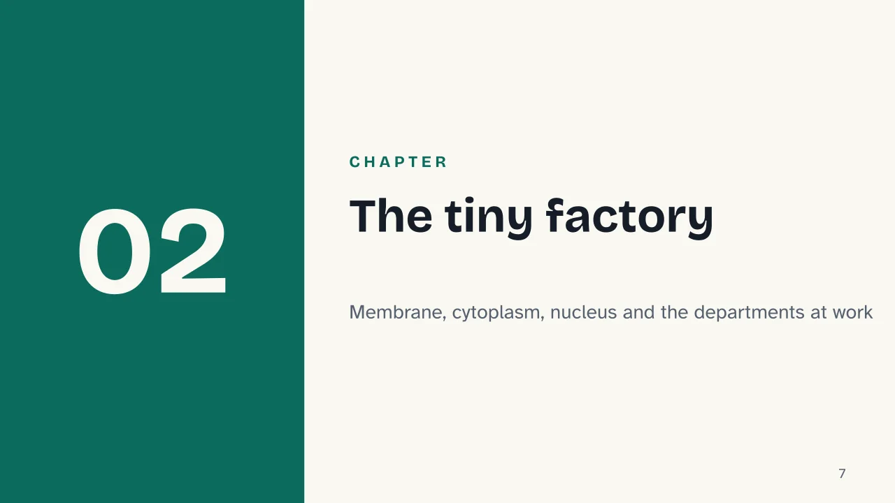 Slide 7 of the presentation on The cell: Chapter 02: The tiny factory