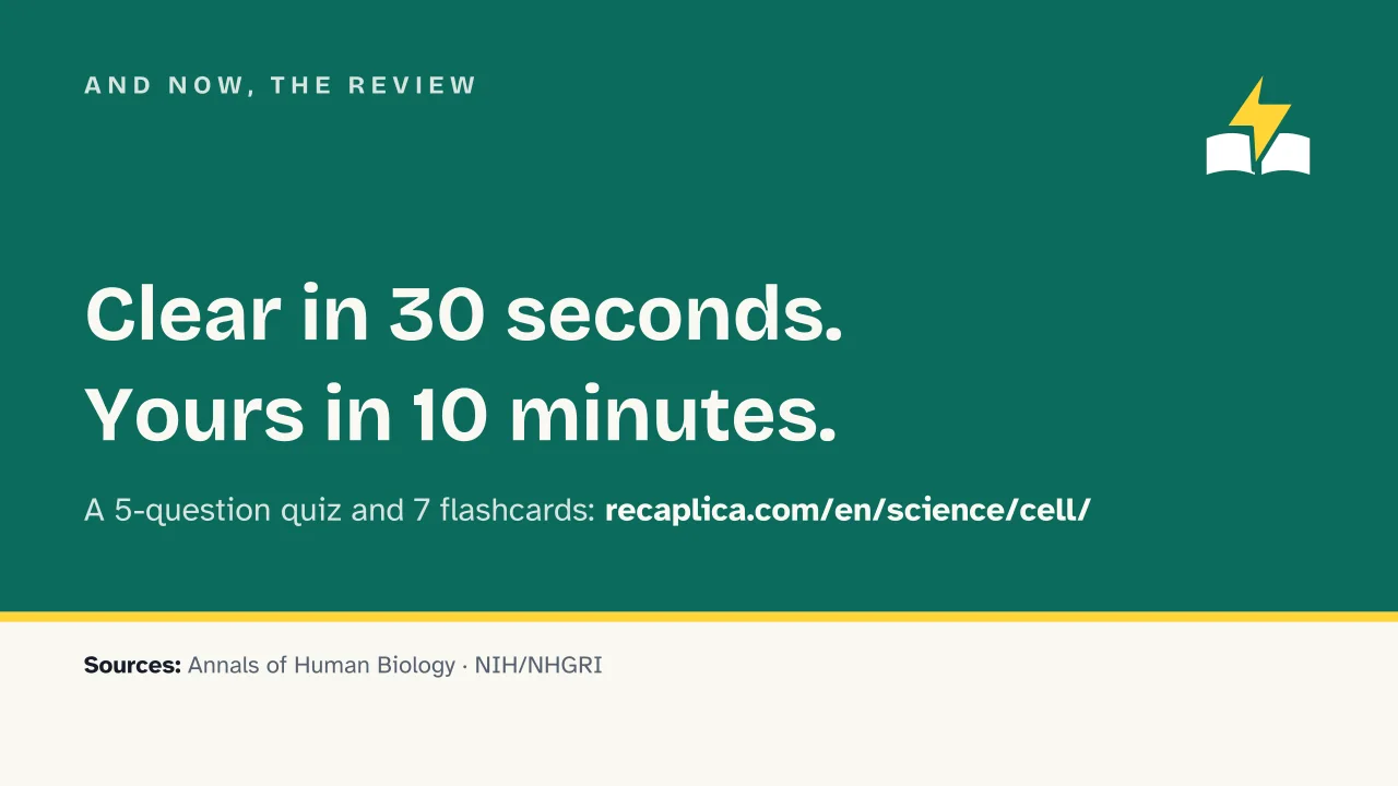 Slide 18 of the presentation on The cell: And now, the review