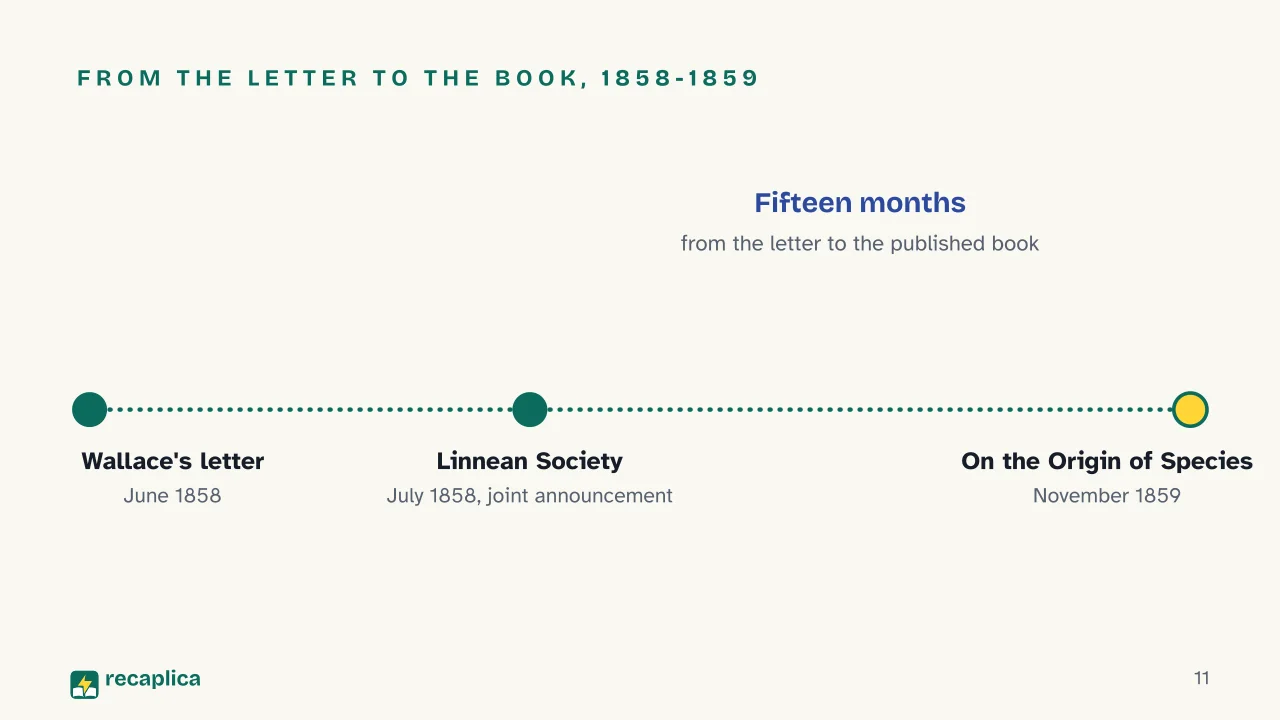 Slide 11 of the presentation on Darwin's Theory of Evolution: From the letter to the book, 1858-1859