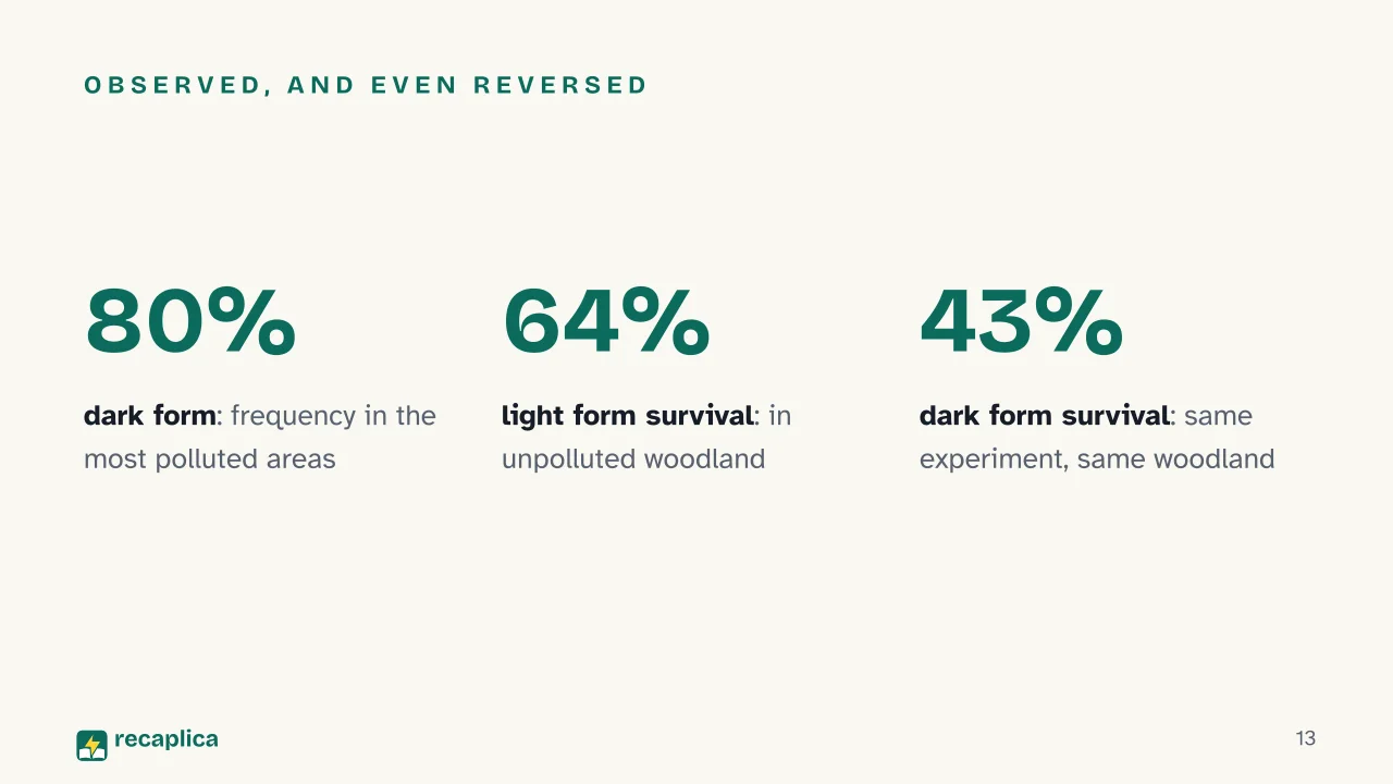 Slide 13 of the presentation on Darwin's Theory of Evolution: Observed, and even reversed