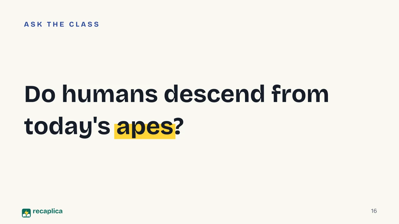 Slide 16 of the presentation on Darwin's Theory of Evolution: Do humans descend from today's apes?