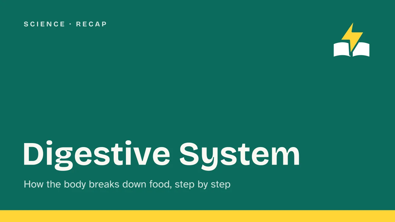 Slide 1 of the presentation on Digestive System: Digestive System
