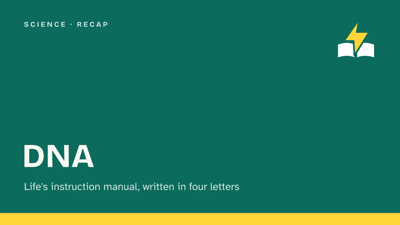 Slide 1 of the presentation on DNA: DNA