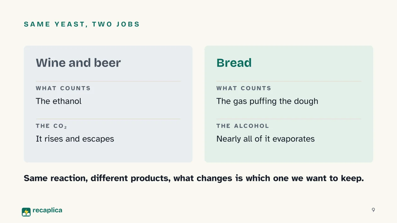 Slide 9 of the presentation on Fermentation: Same yeast, two jobs