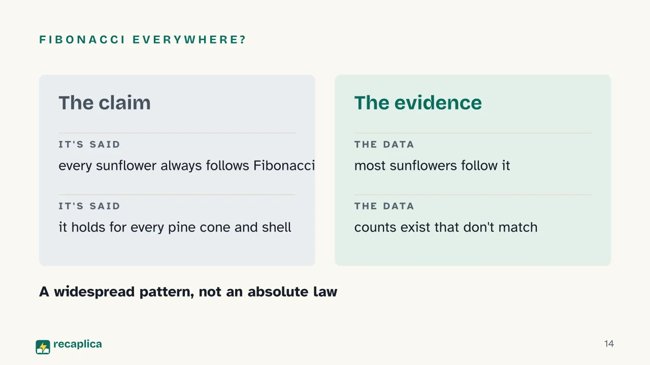 Slide 14 of the presentation on What Is the Fibonacci Sequence? The Formula and Where It Appears in Nature: Fibonacci everywhere?