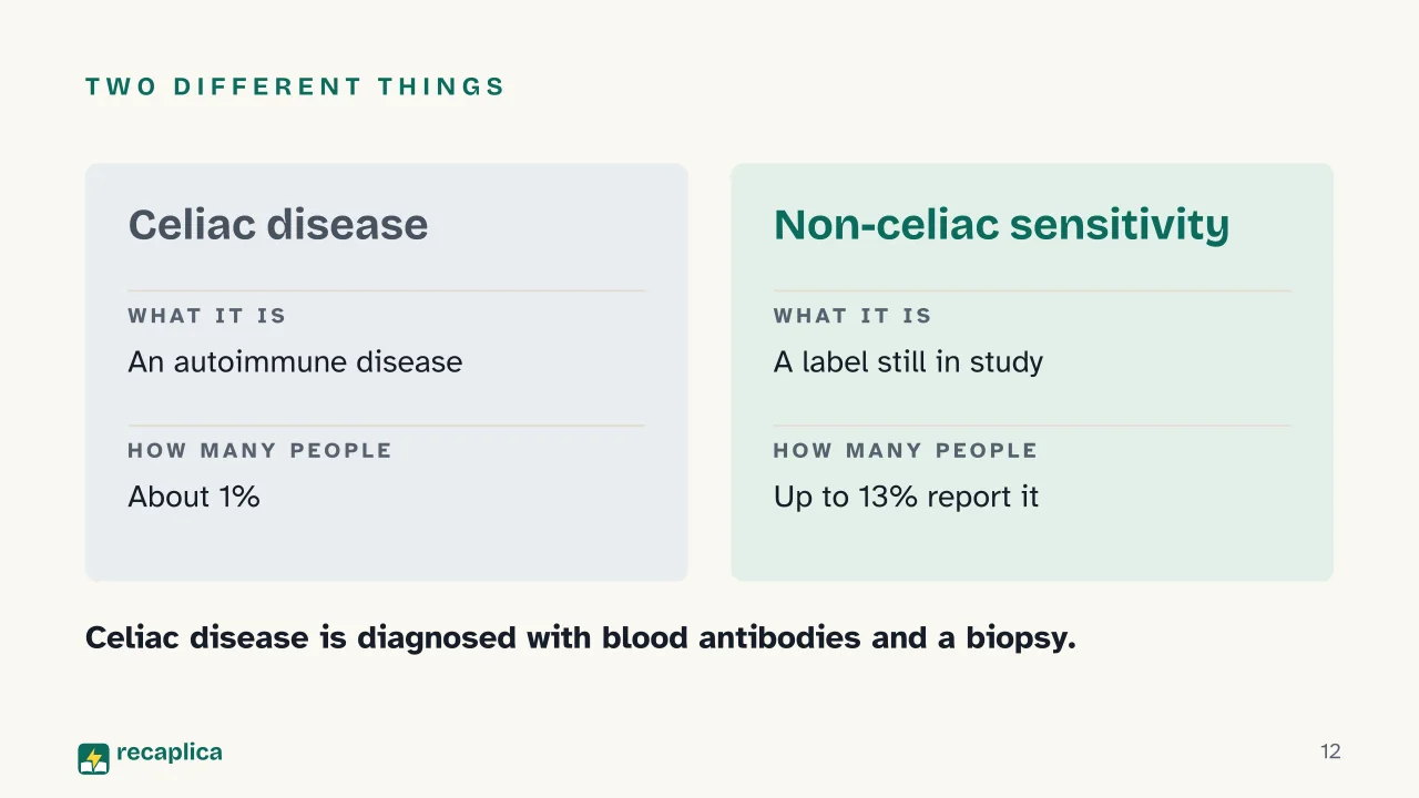Slide 12 of the presentation on Gluten: Two different things