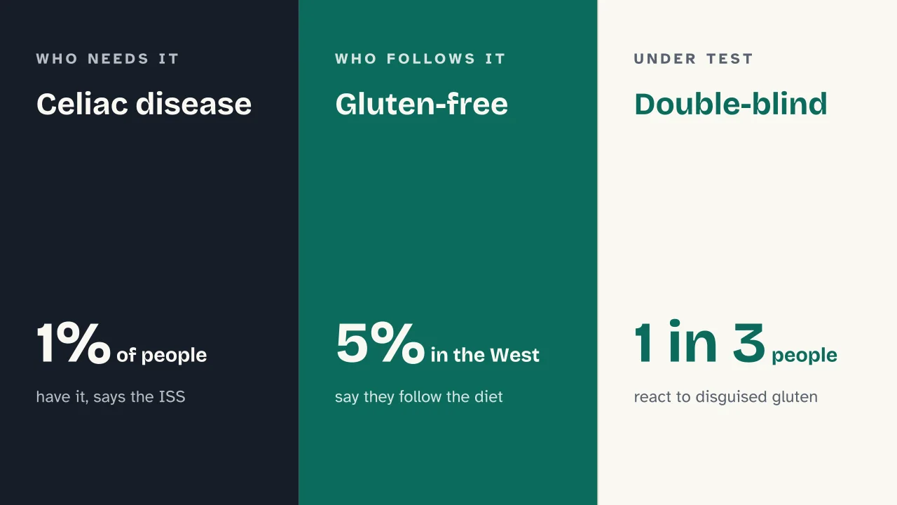 Slide 15 of the presentation on Gluten: Celiac disease · Gluten-free · Double-blind