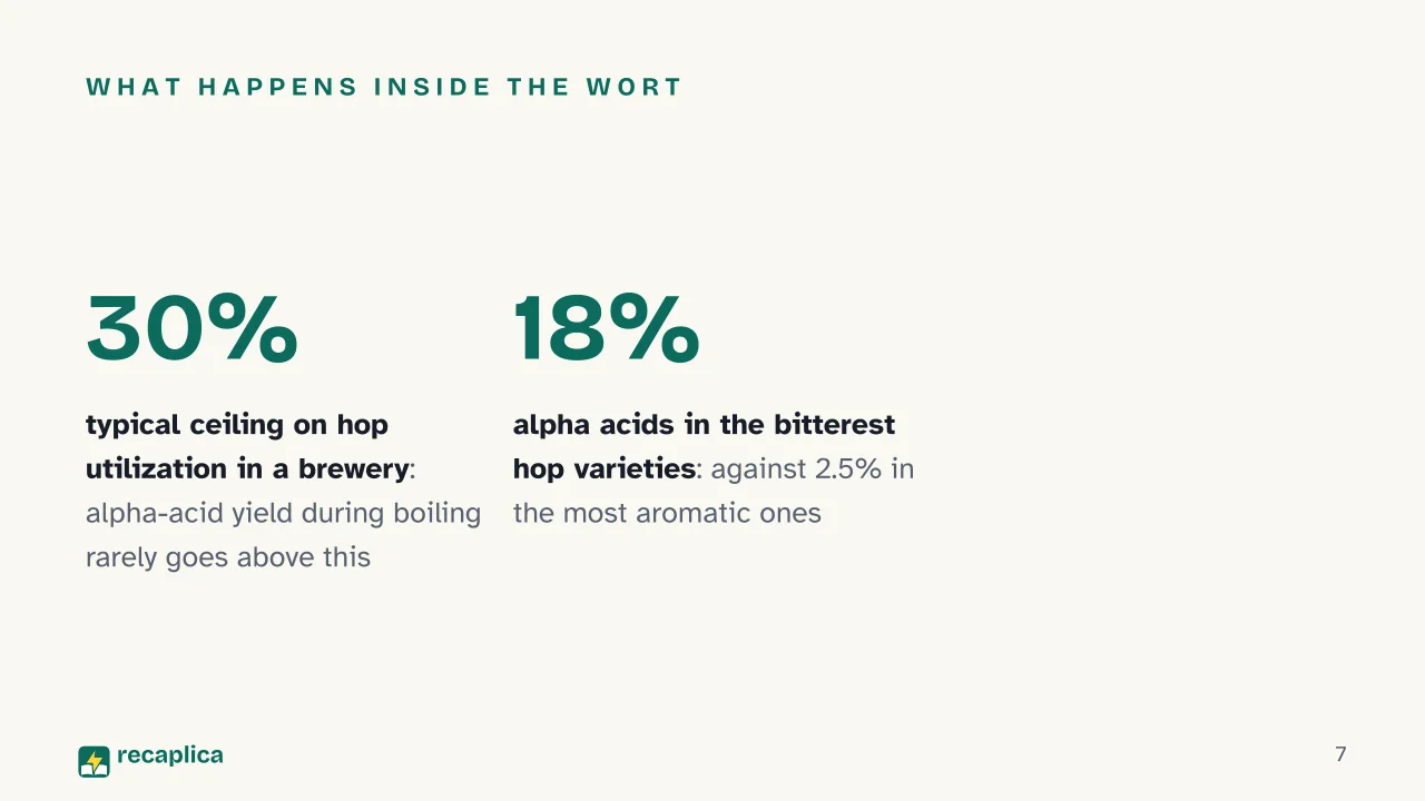 Slide 7 of the presentation on How Beer Is Made: What happens inside the wort
