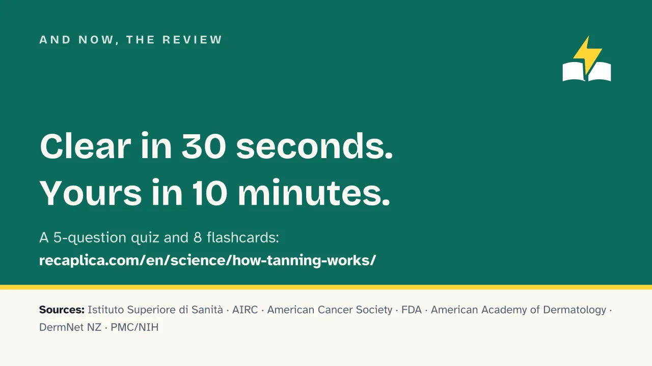 Slide 18 of the presentation on How Tanning Works: And now, the review