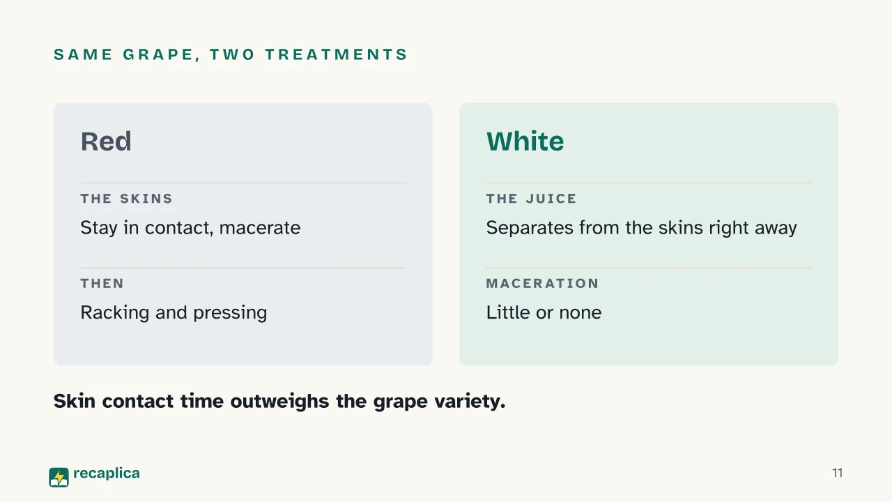Slide 11 of the presentation on How Wine Is Made: Same grape, two treatments