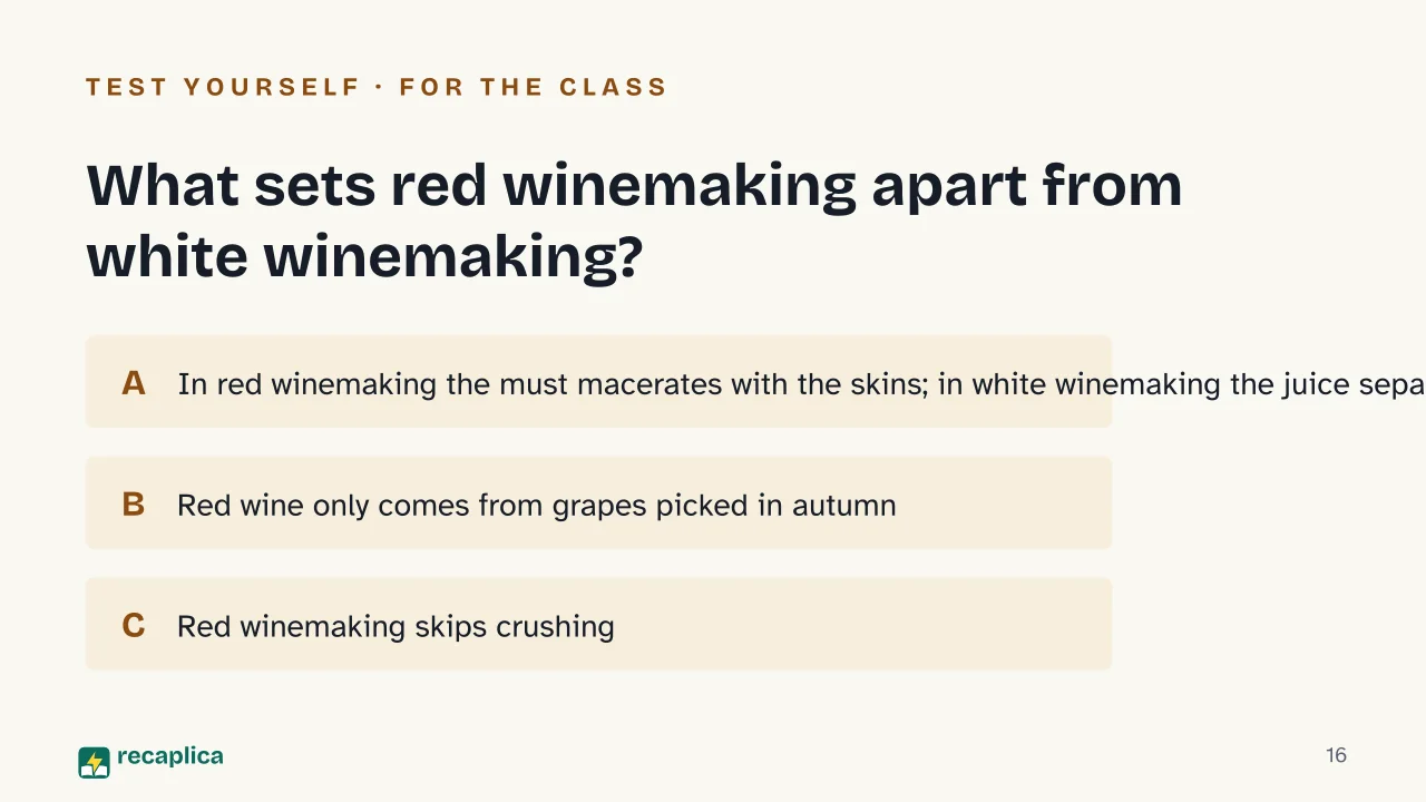 Slide 16 of the presentation on How Wine Is Made: What sets red winemaking apart from white winemaking?
