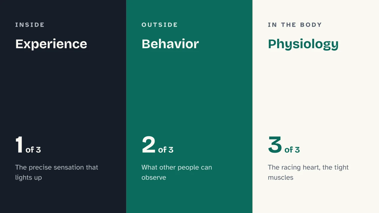 Slide 5 of the presentation on Human emotions: Experience · Behavior · Physiology