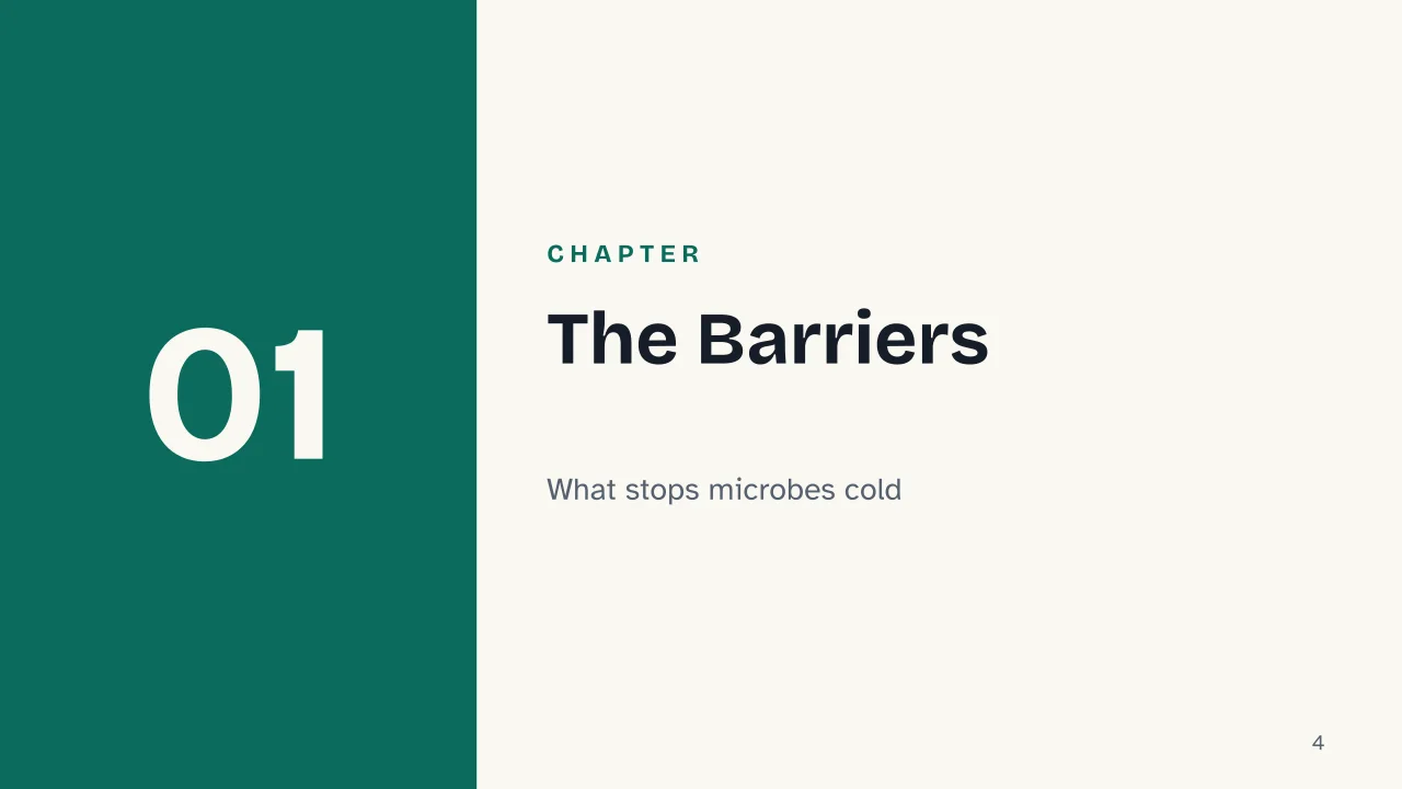 Slide 4 of the presentation on How the Immune System Works: Chapter 01: The Barriers