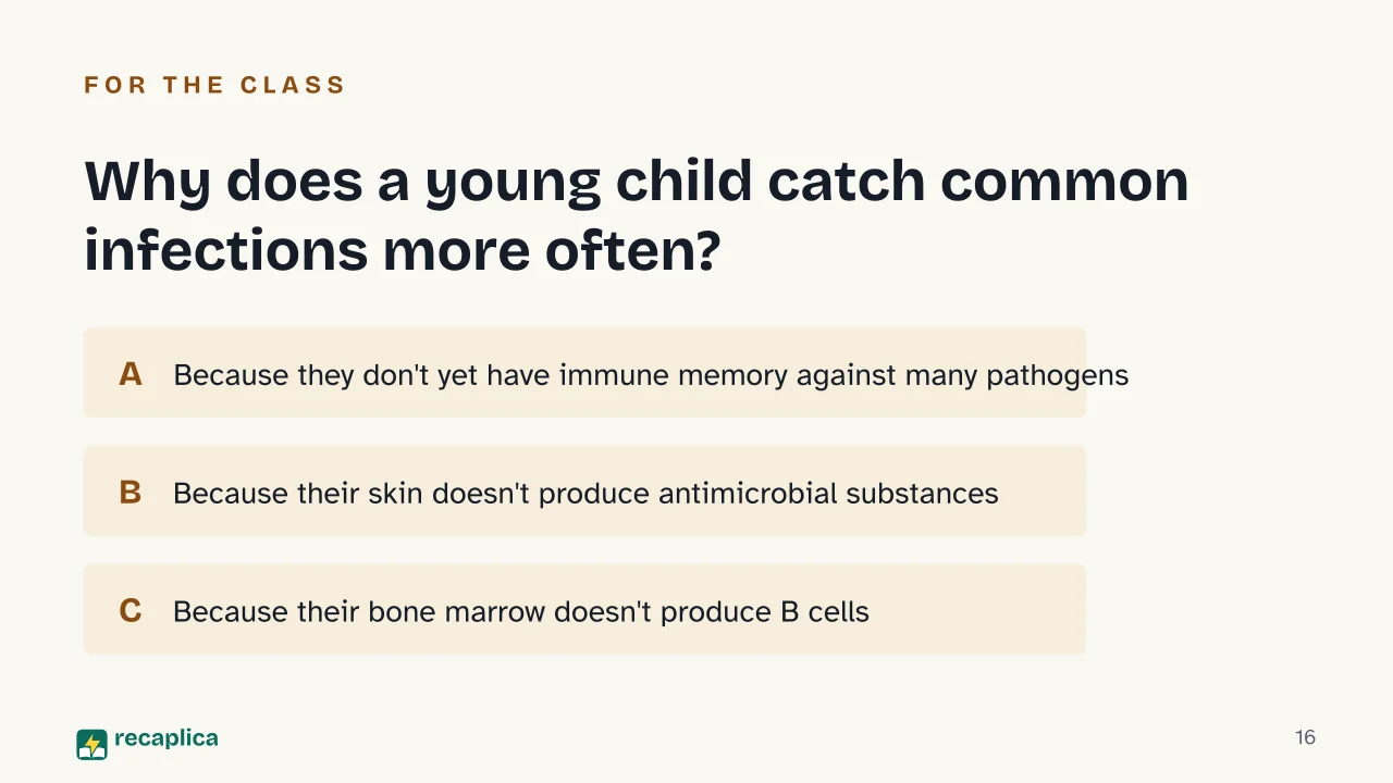 Slide 16 of the presentation on How the Immune System Works: Why does a young child catch common infections more often?