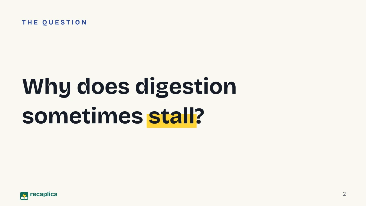 Slide 2 of the presentation on Indigestion Remedies: Why does digestion sometimes stall?