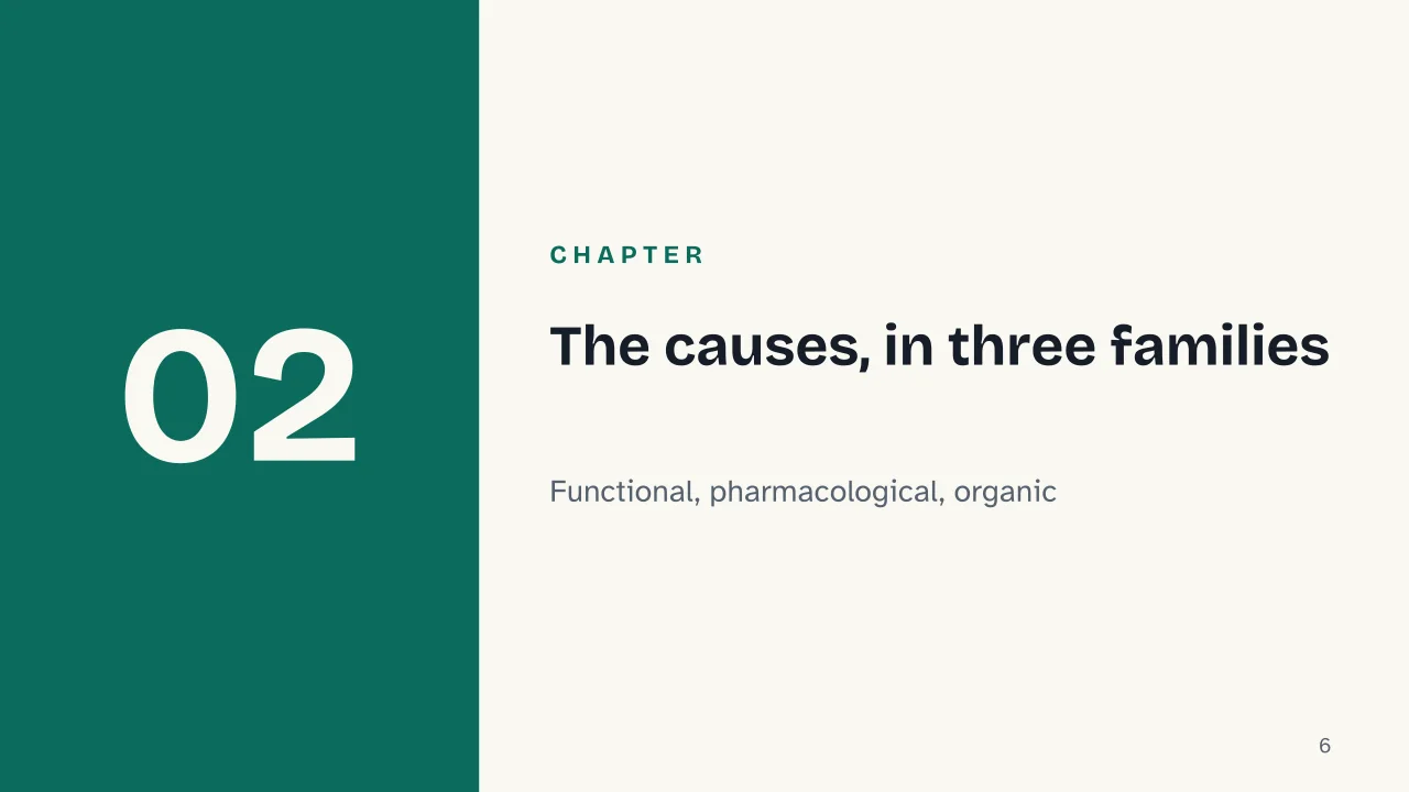 Slide 6 of the presentation on Indigestion Remedies: Chapter 02: The causes, in three families