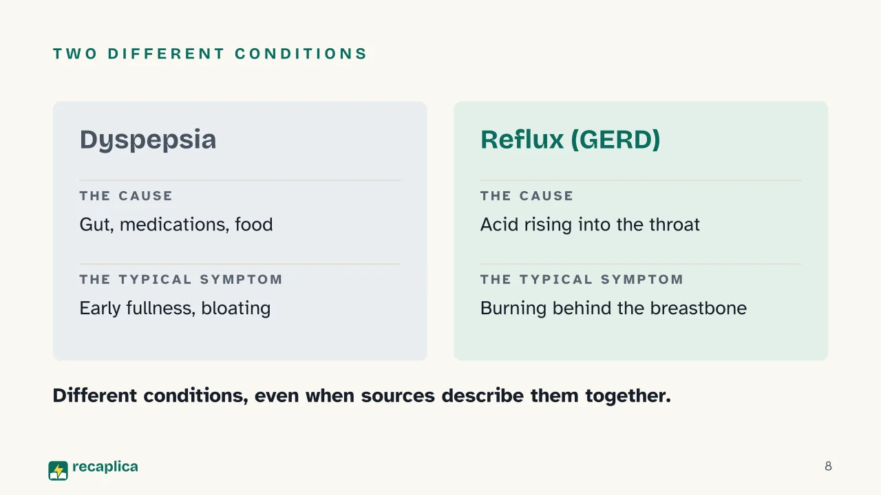 Slide 8 of the presentation on Indigestion Remedies: Two different conditions