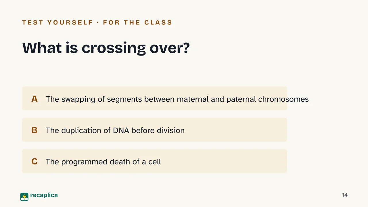 Slide 14 of the presentation on Mitosis vs Meiosis: What is crossing over?