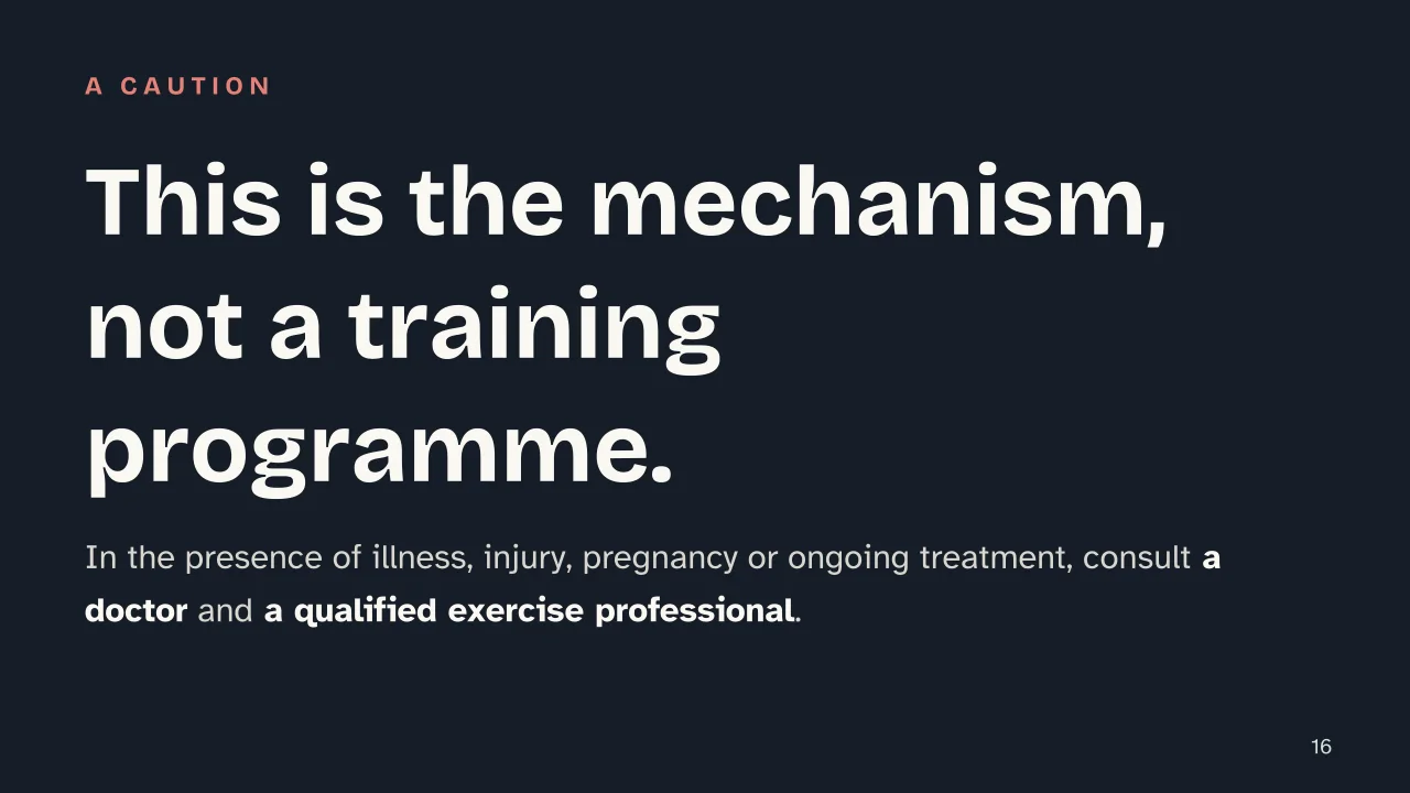 Slide 16 of the presentation on Muscle hypertrophy: This is the mechanism, not a training programme.