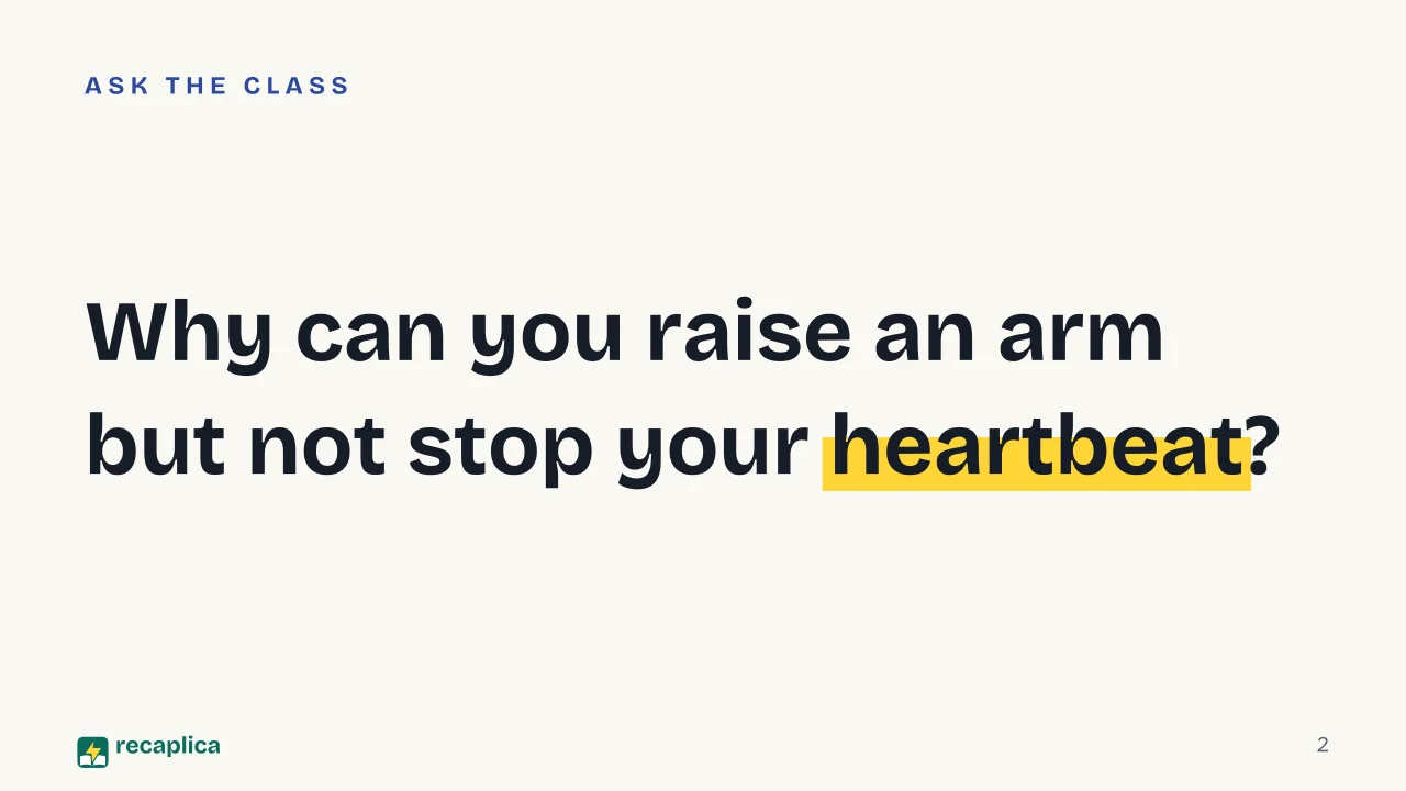Slide 2 of the presentation on Muscular system: Why can you raise an arm but not stop your heartbeat?