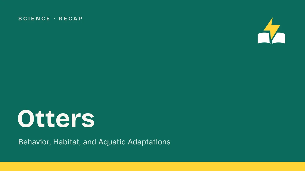 Slide 1 of the presentation on Otters: Otters