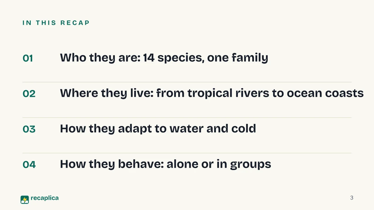 Slide 3 of the presentation on Otters: In this Recap