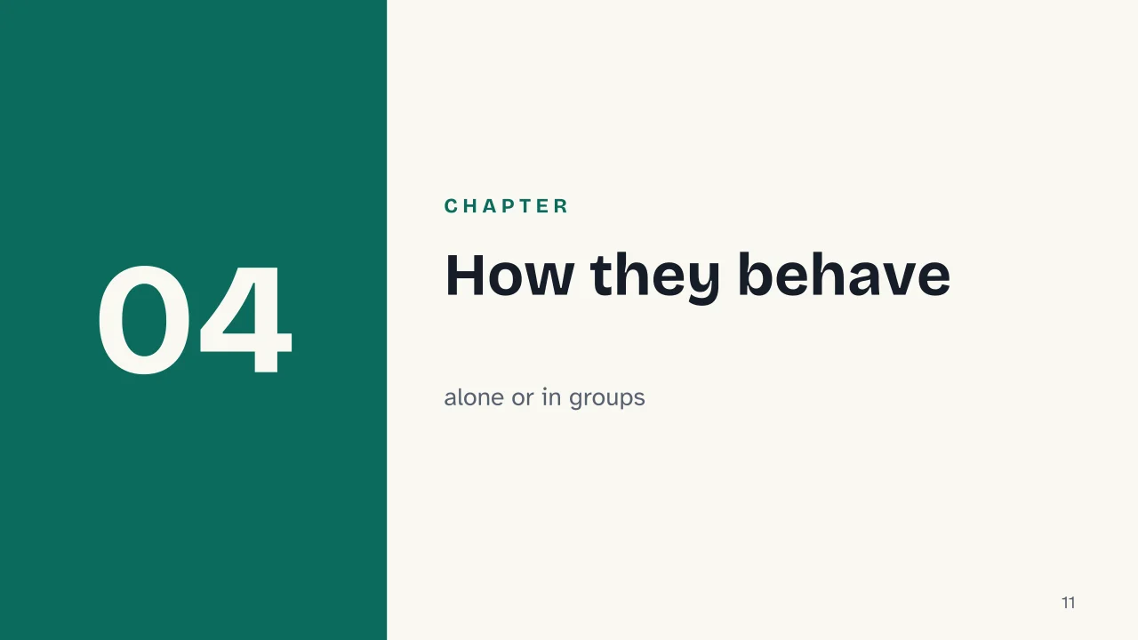 Slide 11 of the presentation on Otters: Chapter 04: How they behave