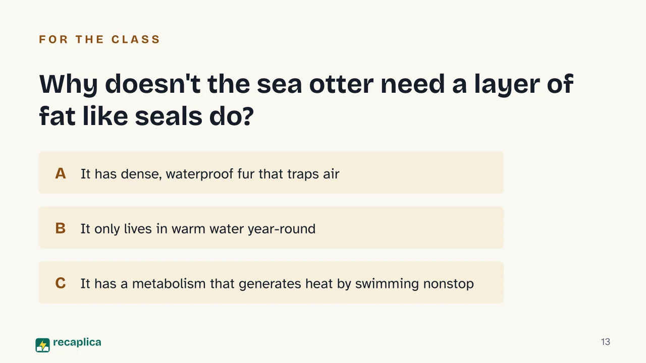 Slide 13 of the presentation on Otters: Why doesn't the sea otter need a layer of fat like seals do?