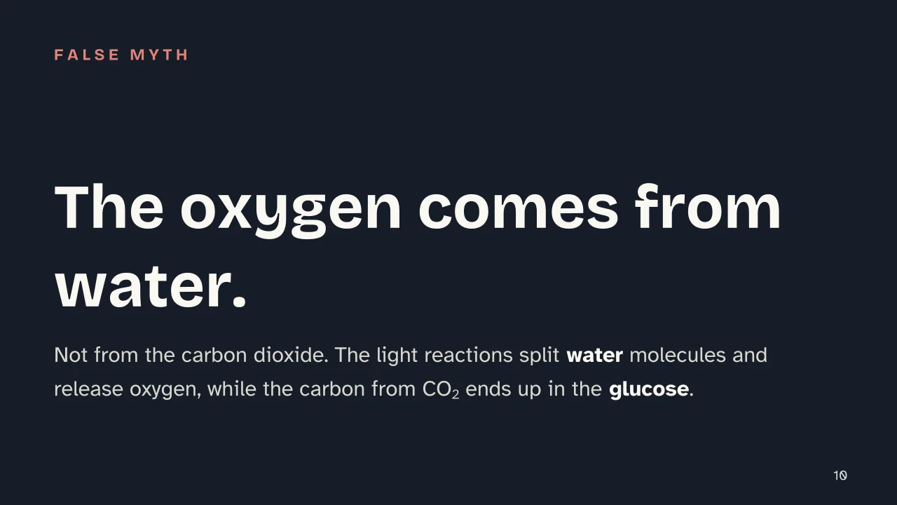 Slide 10 of the presentation on Photosynthesis: The oxygen comes from water.