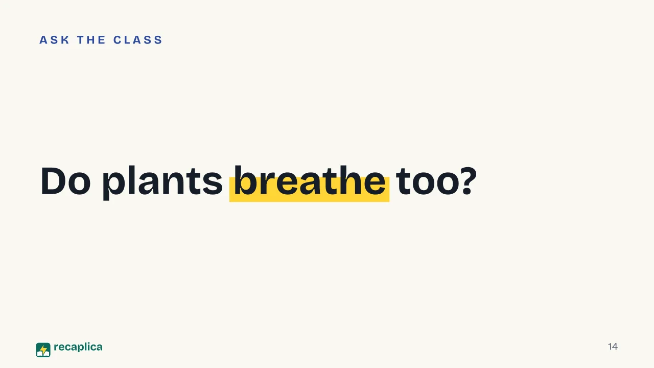 Slide 14 of the presentation on Photosynthesis: Do plants breathe too?