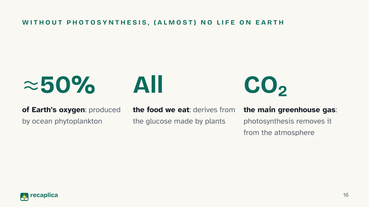 Slide 16 of the presentation on Photosynthesis: Without photosynthesis, (almost) no life on Earth