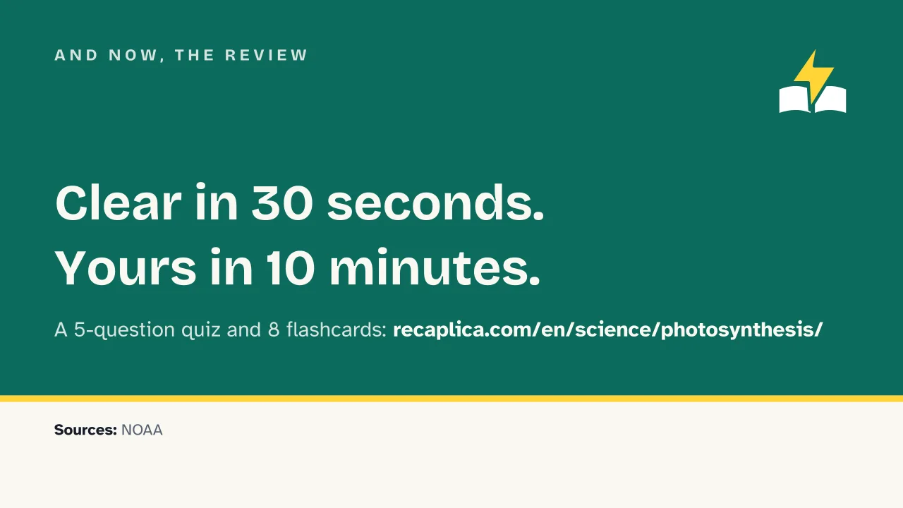 Slide 18 of the presentation on Photosynthesis: And now, the review