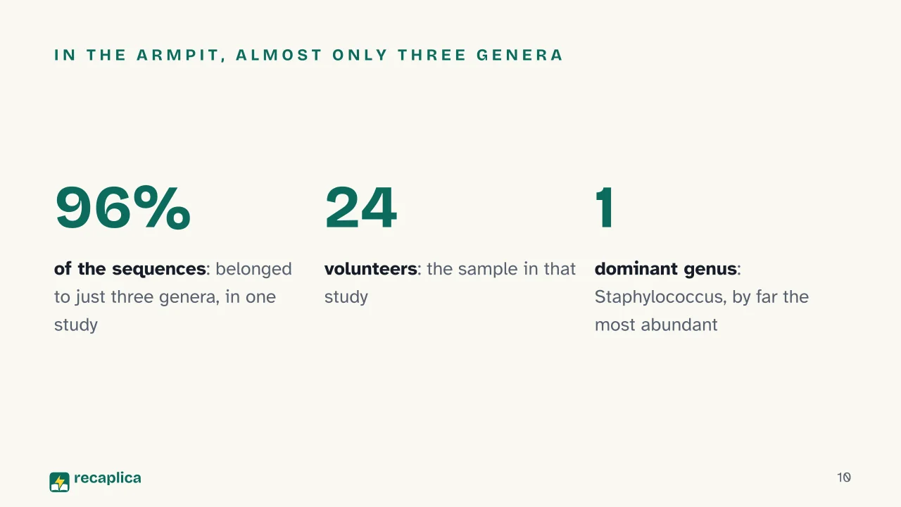 Slide 10 of the presentation on Why Does Sweat Smell? The Real Cause Isn't the Sweat: In the armpit, almost only three genera