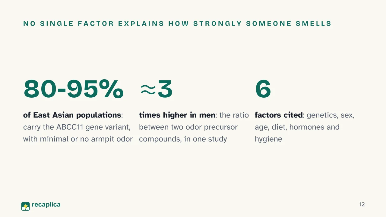 Slide 12 of the presentation on Why Does Sweat Smell? The Real Cause Isn't the Sweat: No single factor explains how strongly someone smells