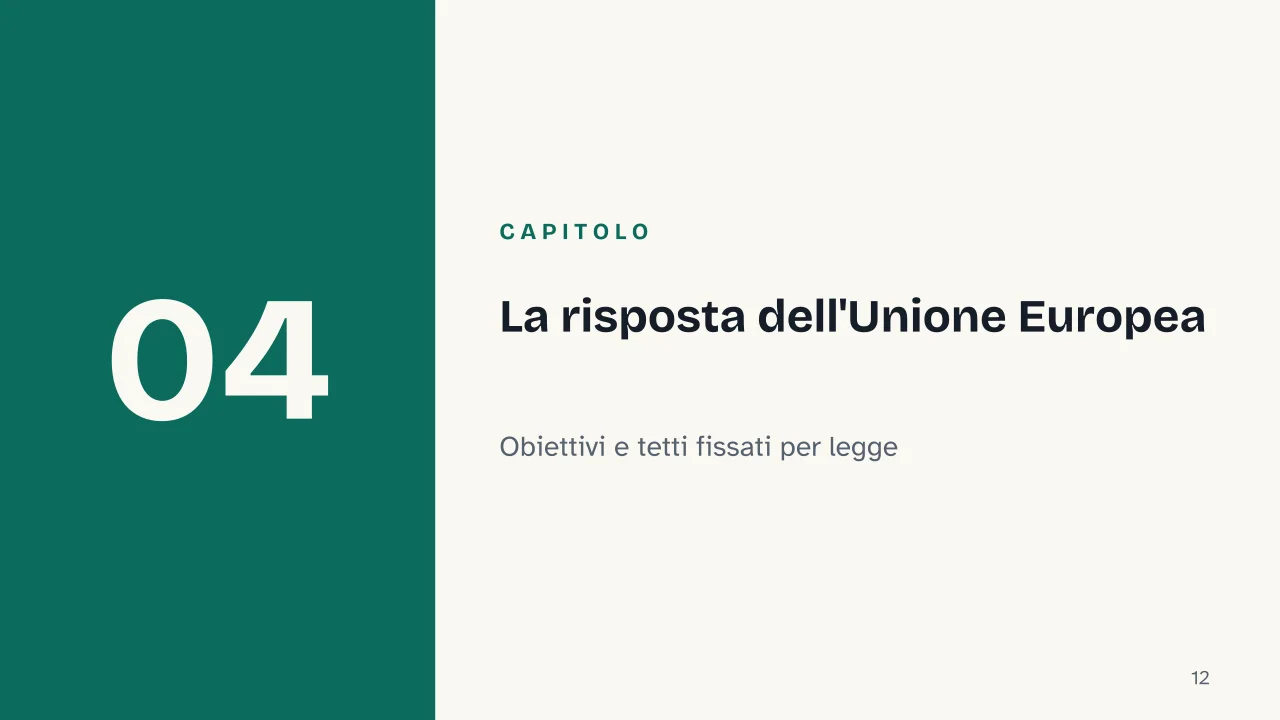 Slide 12 della presentazione su Materie prime critiche: Capitolo 04: La risposta dell'Unione Europea