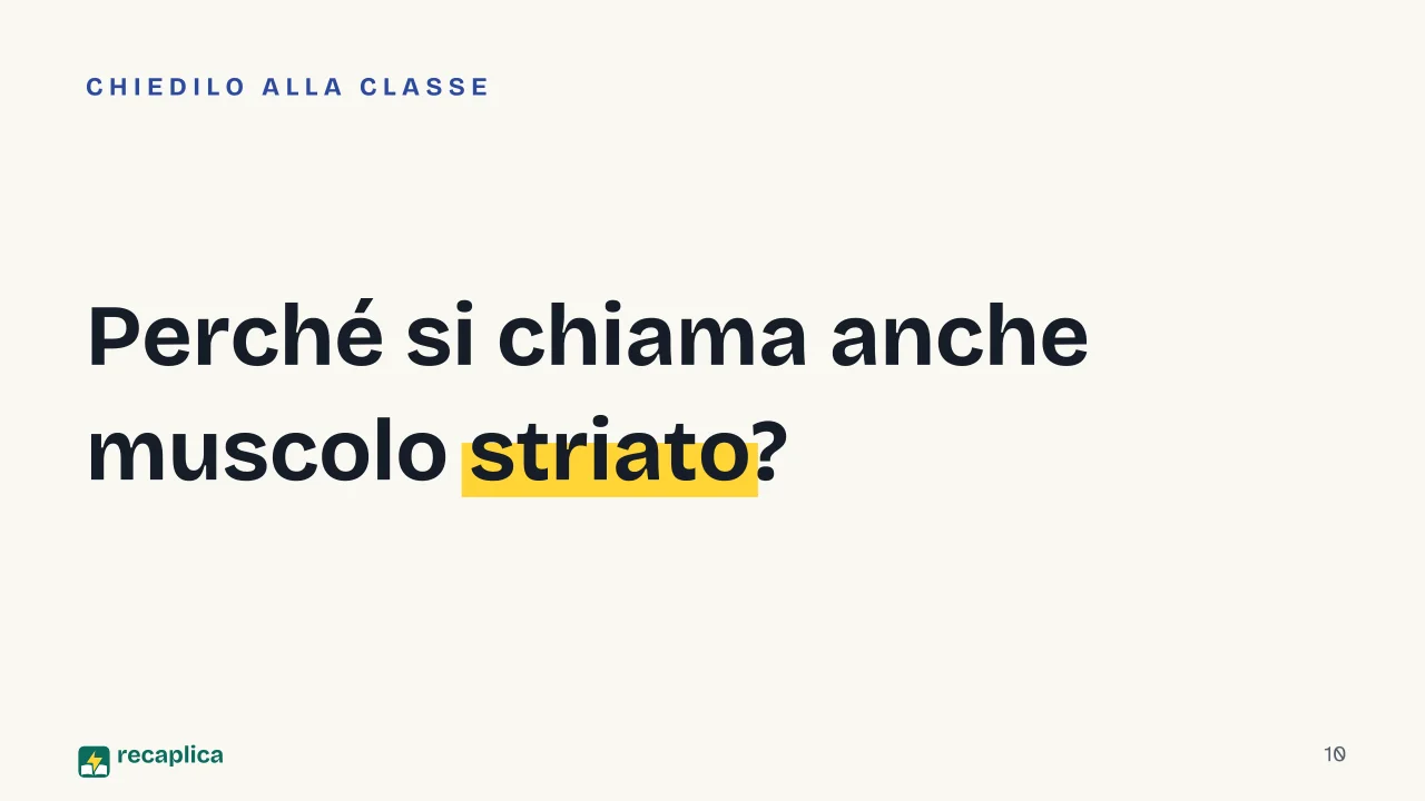 Slide 10 della presentazione su Apparato muscolare: Perché si chiama anche muscolo striato?