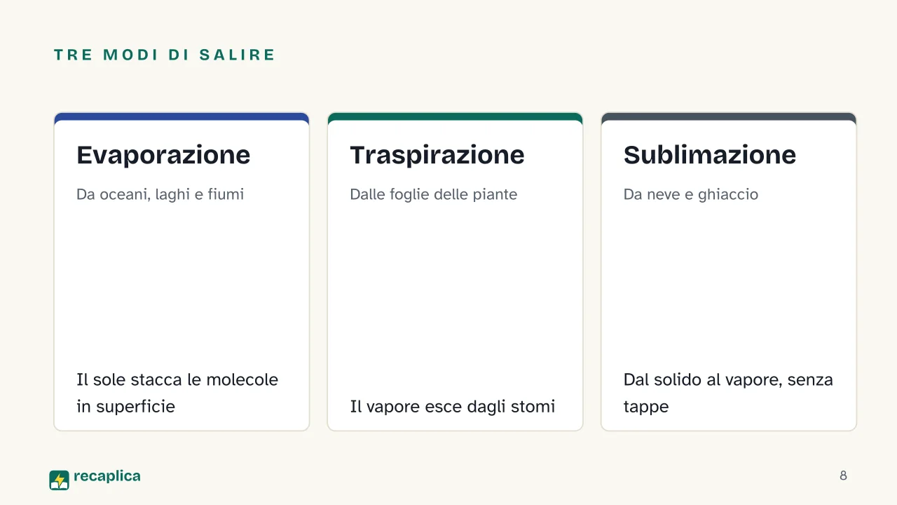 Slide 8 della presentazione su Ciclo dell'acqua: Tre modi di salire: Evaporazione, Traspirazione, Sublimazione