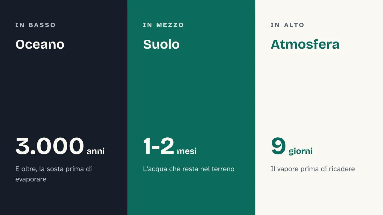 Slide 14 della presentazione su Ciclo dell'acqua: Oceano · Suolo · Atmosfera