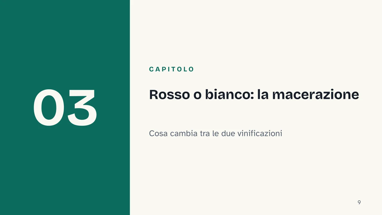 Slide 9 della presentazione su Come si produce il vino: Capitolo 03: Rosso o bianco: la macerazione