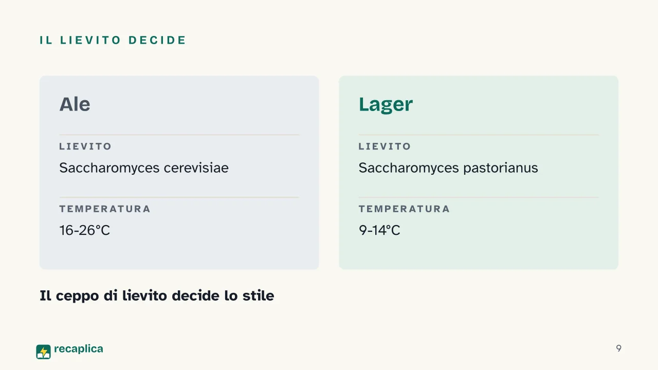 Slide 9 della presentazione su Come si produce la birra, dal malto alla fermentazione: Il lievito decide