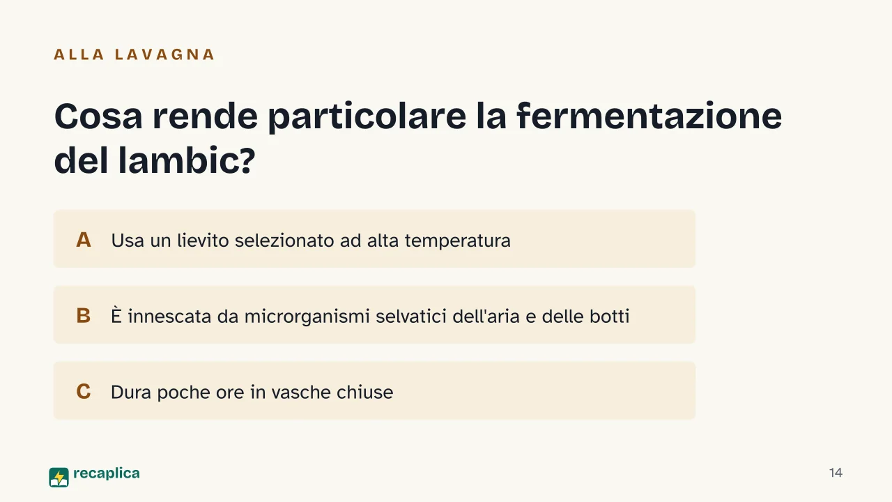 Slide 14 della presentazione su Come si produce la birra, dal malto alla fermentazione: Cosa rende particolare la fermentazione del lambic?