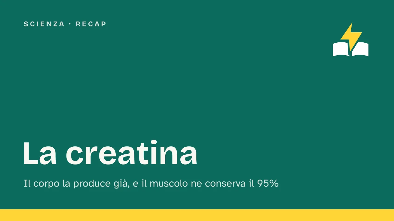 Slide 1 della presentazione su Creatina: La creatina