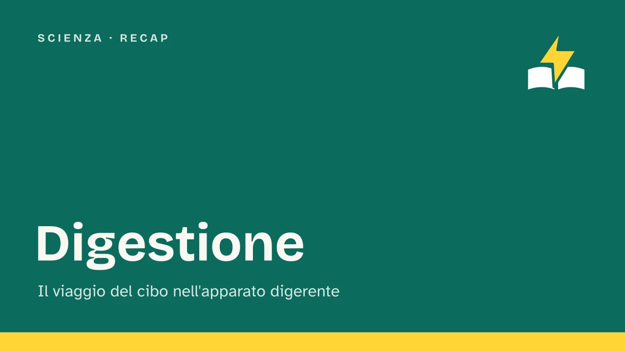 Slide 1 della presentazione su Digestione: Digestione