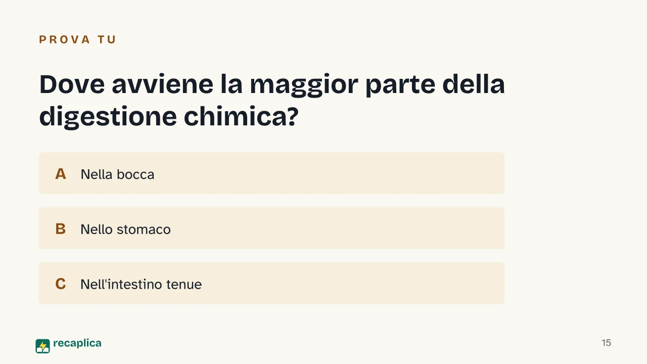 Slide 15 della presentazione su Digestione: Dove avviene la maggior parte della digestione chimica?
