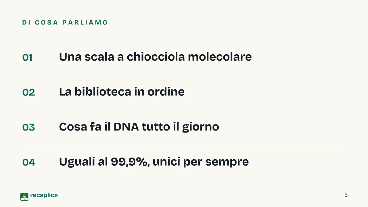 Slide 3 della presentazione su Il DNA: Di cosa parliamo